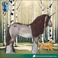 Horse Color:Platinum Chocolate Brown Dun Tobiano 