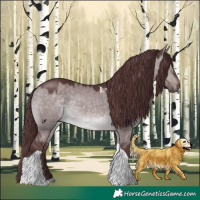 Horse Color:Platinum Chocolate Brown Dun Tobiano