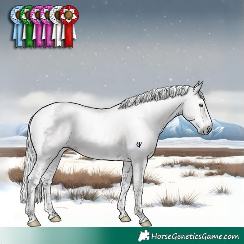 Horse Color:Gray Silver Brown Splash Tobiano Rabicano 