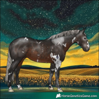 Horse Color:Gray White Spotted Silver Brown Rabicano