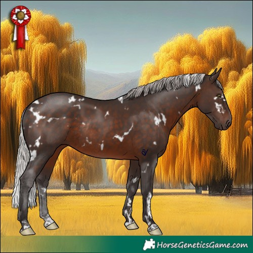 Horse Color:White Spotted Silver Brown Rabicano 