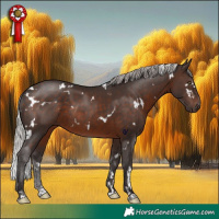 Horse Color:White Spotted Silver Brown Rabicano 