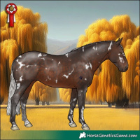 Horse Color:White Spotted Silver Brown Rabicano 