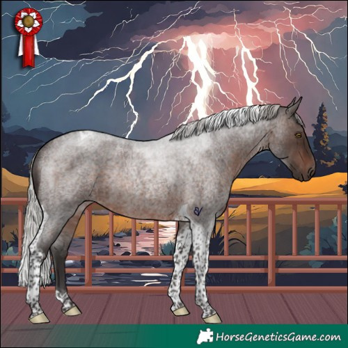 Horse Color:Silver Brown Roan Tobiano Rabicano 