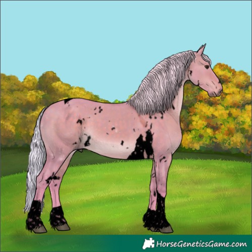 Horse Color:Void Watercolor White Spotted Silver Brown Dun Tobiano 