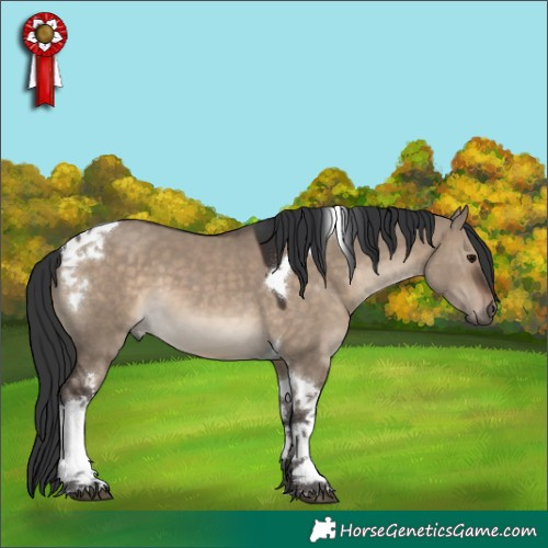 Horse Color:Brown Dun Tobiano 