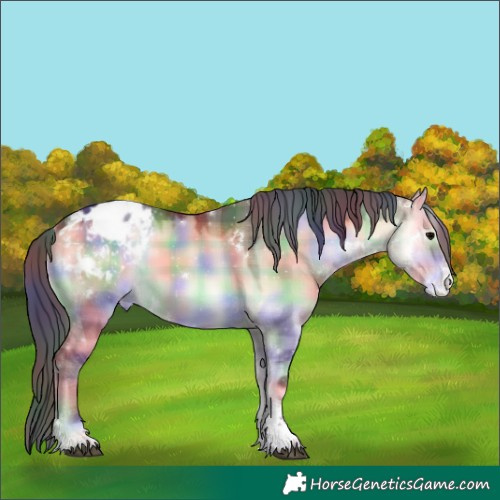 Horse Color:Nacre Plaid  White Spotted Brown Onyx Tobiano Appaloosa 