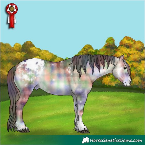 Horse Color:Nacre Plaid  White Spotted Brown Onyx Tobiano Blanket 