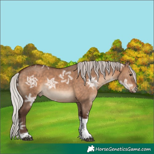 Horse Color:Silver Brown Ice Dun Tobiano 