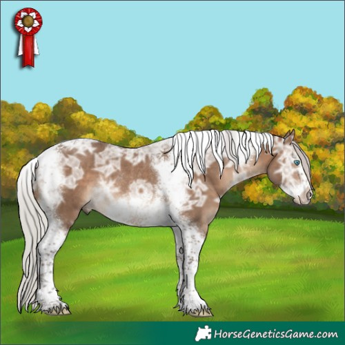 Horse Color:Silver Brown Ice Dun Tobiano Frame Rabicano 