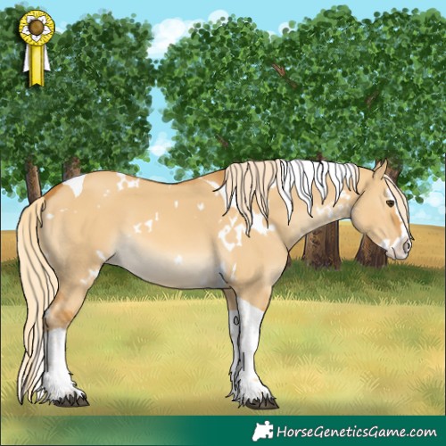 Horse Color:White Spotted Palomino Dun Splash Tobiano 