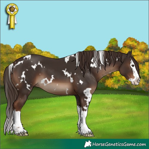 Horse Color:White Spotted Liver Chestnut Splash 