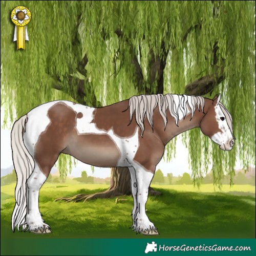 Horse Color:Silver Black Splash Tobiano 