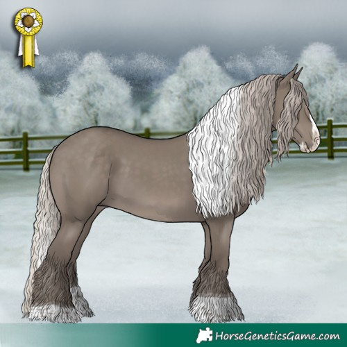 Horse Color:Silver Grullo Splash Tobiano 