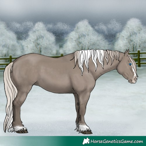 Horse Color:Silver Grullo Splash Tobiano 