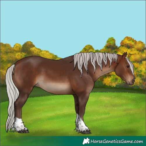Horse Color:Silver Brown Tobiano 