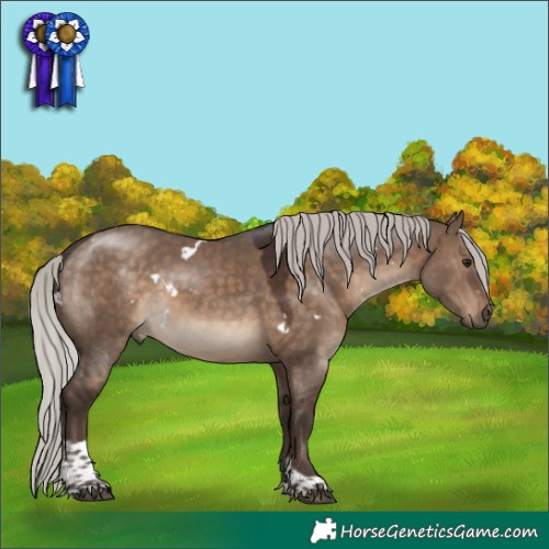 Horse Color:White Spotted Silver Brown Dun Tobiano 