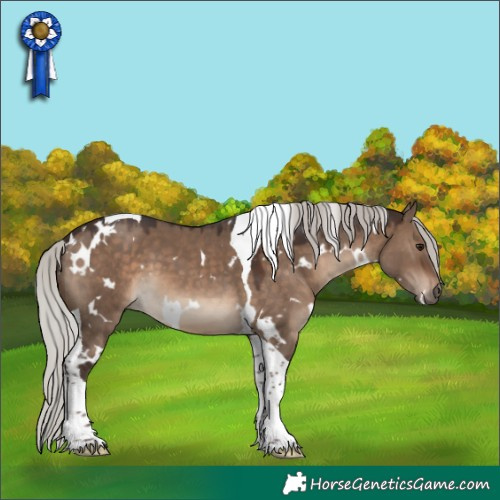 Horse Color:White Spotted Silver Brown Dun Tobiano 