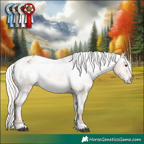 Horse Color:White Spotted Silver Bay Dun Appaloosa 
