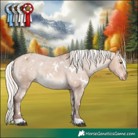Horse Color:White Spotted Silver Bay Dun Appaloosa 