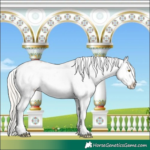 Horse Color:White Spotted Silver Buckskin Dun Frame Varnish 