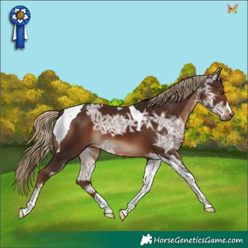 Horse Color:Liver Chestnut Ice Tobiano 
