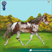 Horse Color:Liver Chestnut Ice Tobiano 