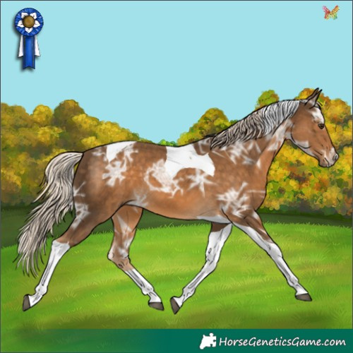 Horse Color:Chocolate Palomino Ice Tobiano 