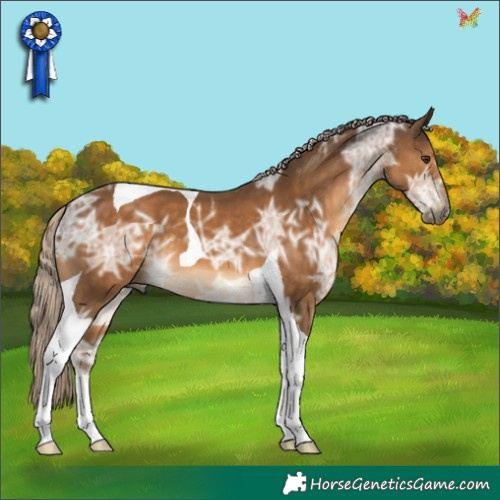 Horse Color:Chocolate Palomino Ice Tobiano 