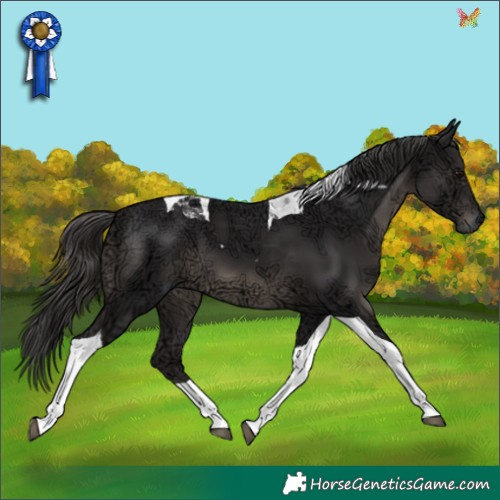 Horse Color:Smoky Black Ice Tobiano 