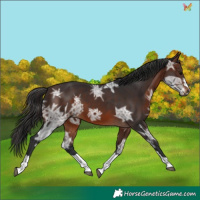 Horse Color:Brown Ice 