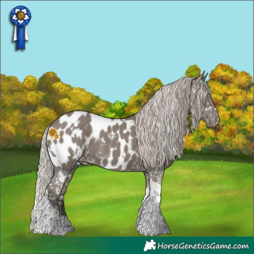 Horse Color:White Spotted Silver Grullo Tobiano Appaloosa 