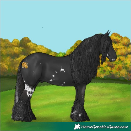 Horse Color:White Spotted Liver Chestnut 