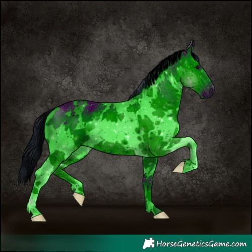 Horse Color:ERROR: UNKNOWN ANOMALY