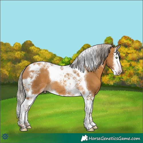 Horse Color:Gray Silver Amber Cream Champagne Splash Tobiano Varnish 