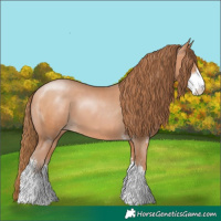 Horse Color:Bay Pearl Sabino