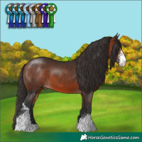 Horse Color:Bay Sabino Tobiano and Brown Sabino