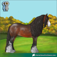 Horse Color:Bay Sabino Tobiano  and Brown Sabino 