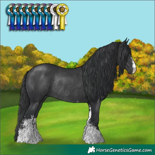Horse Color:Black Sabino Rabicano