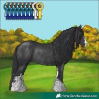 Horse Color:Black Sabino Rabicano 