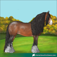 Horse Color:Brown Sabino 