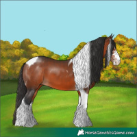 Horse Color:Brown Sabino Tobiano