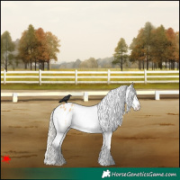 Horse Color:Palomino Varnish 