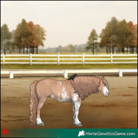 Horse Color:Chestnut Sabino 