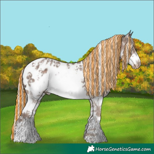 Horse Color:Painted Silver Black Sabino Frame Appaloosa 