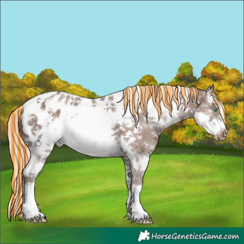 Horse Color:Painted Silver Black Sabino Frame Appaloosa 