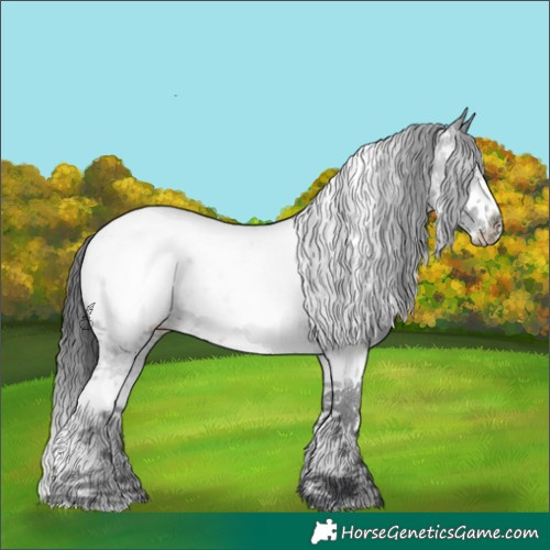 Horse Color:Black Sabino Near Fewspot 