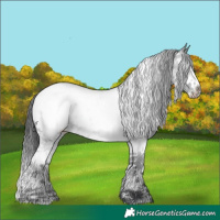 Horse Color:Black Sabino Near Fewspot 