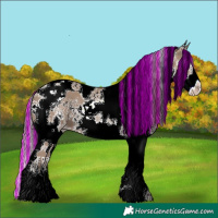 Horse Color:Painted Classic Champagne Sabino Splash Tobiano 