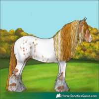 Horse Color:Painted Plaid Chestnut Tobiano Appaloosa